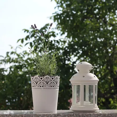 Mia 7 Appartamento Crikvenica